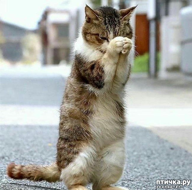 ���� 14: ���� ������� � �������� �����