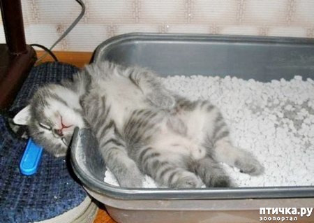 ���� 15: ���� ������� � �������� �����