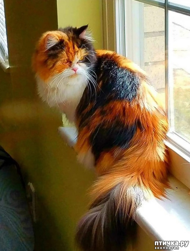 ���� 16: ���� ������� � �������� �����