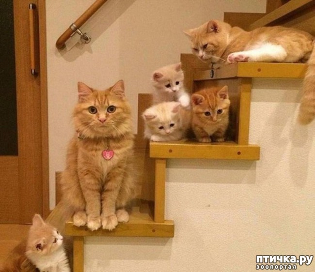 ���� 17: ���� ������� � �������� �����