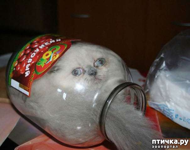 ���� 18: ���� ������� � �������� �����