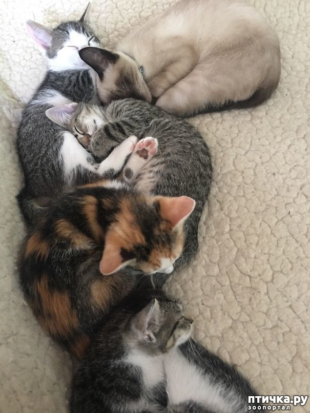 ���� 20: ���� ������� � �������� �����