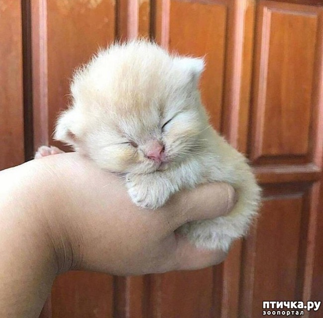 ���� 23: ���� ������� � �������� �����