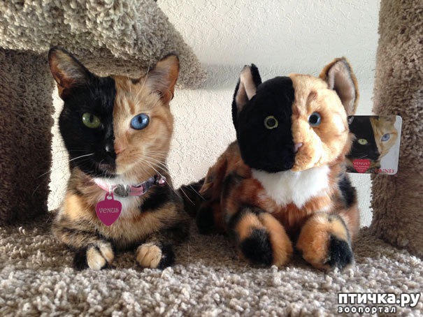 ���� 24: ���� ������� � �������� �����