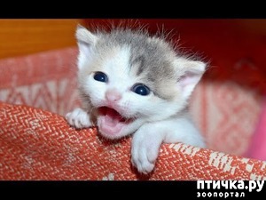 ����: �������� ��� ������� ���� � � ���������