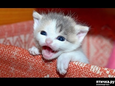 ���� 1: �������� ��� ������� ���� � � ���������