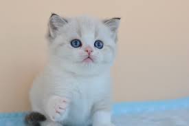 ���� 2: �������� ��� ������� ���� � � ���������