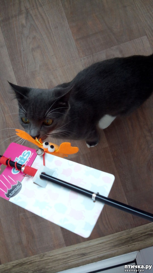 ���� 1: ������� ��� �������