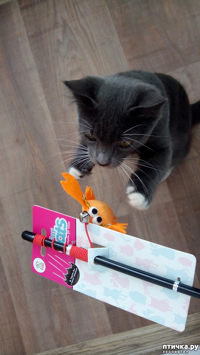 ���� 2: ������� ��� �������