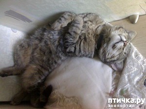 ����: ���������� ������� ��� ���� ������