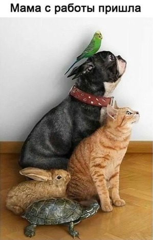 ����: ��� ��� ��������� ����