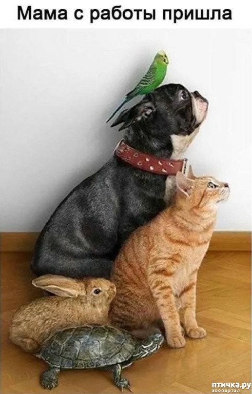 ���� 1: ��� ��� ��������� ����