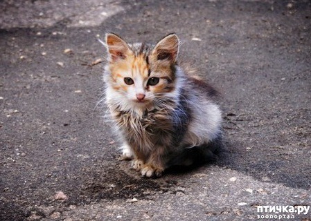 ���� 1: ������������������