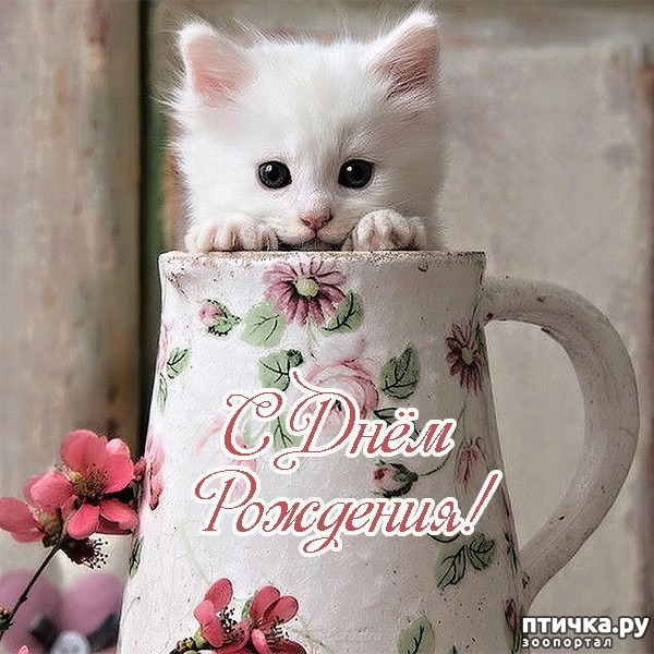 ���� 2: ����������� ����������������!!!