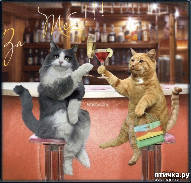 ���� 3: ����������� ����������������!!!