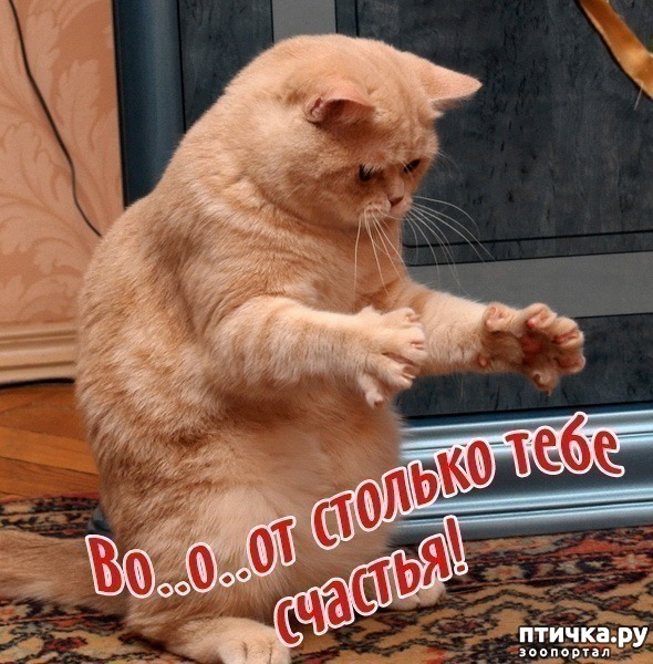 ���� 6: ����������� ����������������!!!