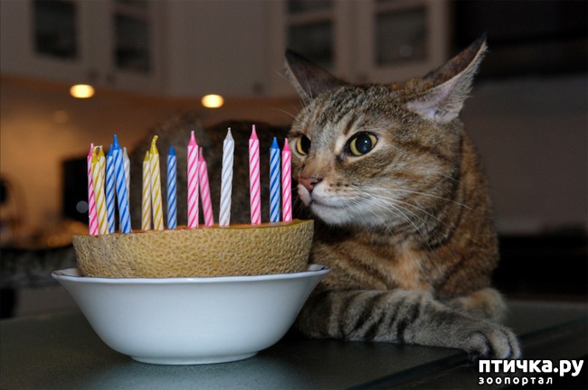 ���� 7: ����������� ����������������!!!