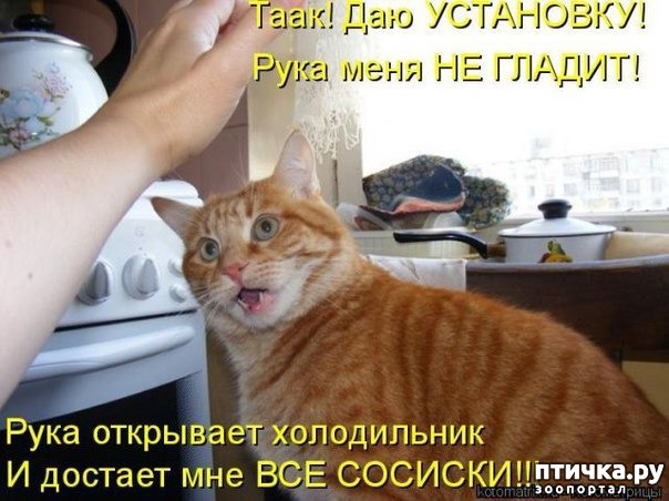 ���� 8: ����������� ����������������!!!