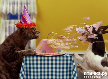 ���� 9: ����������� ����������������!!!