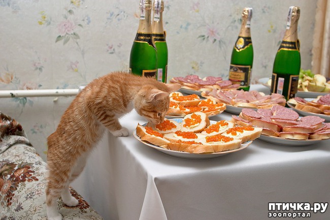 ���� 11: ����������� ����������������!!!