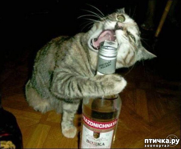 ���� 12: ����������� ����������������!!!