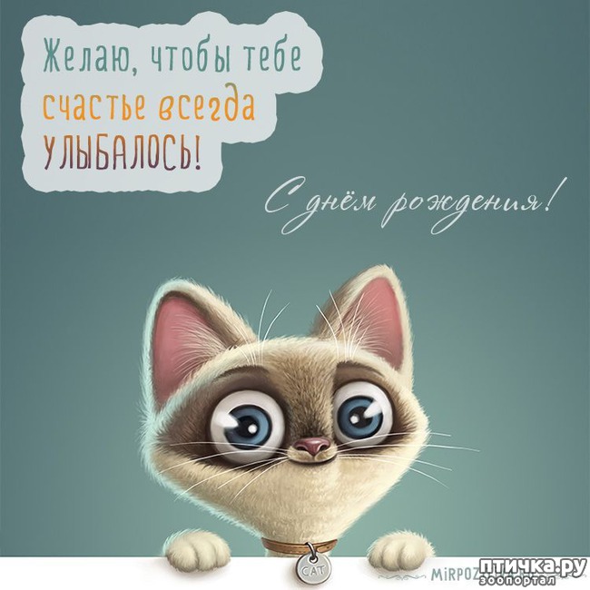 ���� 13: ����������� ����������������!!!