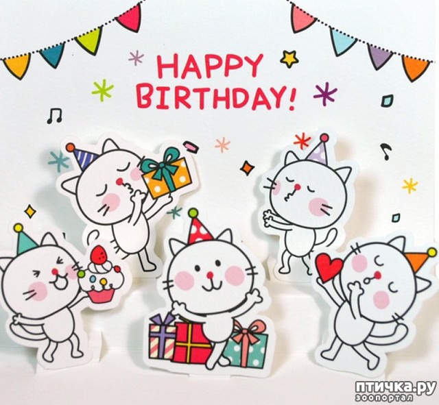 ���� 15: ����������� ����������������!!!