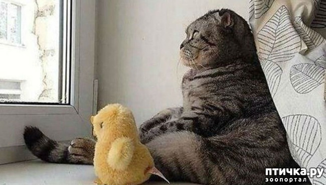 ���� 16: ����������� ����������������!!!