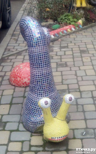 ���� 1: ���������� ������