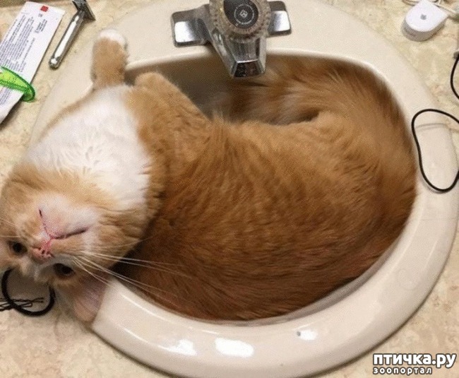 ���� 4: #�������� ���������� ������-���������