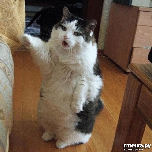 ���� 10: #�������� ���������� ������-���������