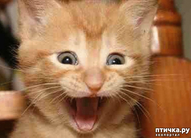 ���� 12: #�������� ���������� ������-���������