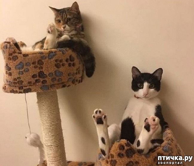 ���� 13: #�������� ���������� ������-���������