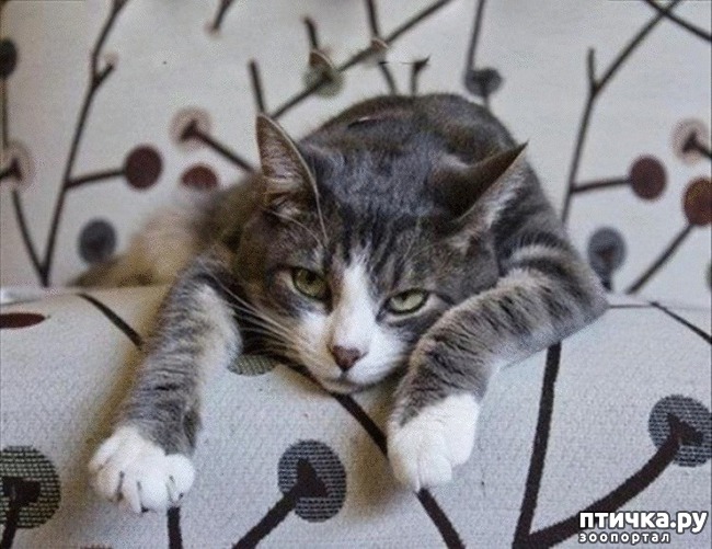 ���� 14: #�������� ���������� ������-���������