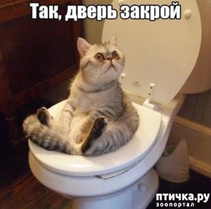 ����: ������� �����, ������� ���������� ������ ��-�������