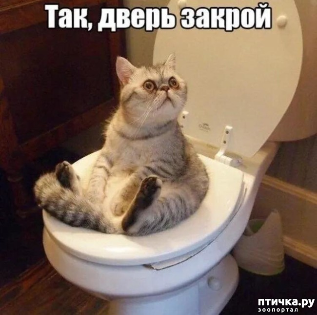 ���� 1: ������� �����, ������� ���������� ������ ��-�������