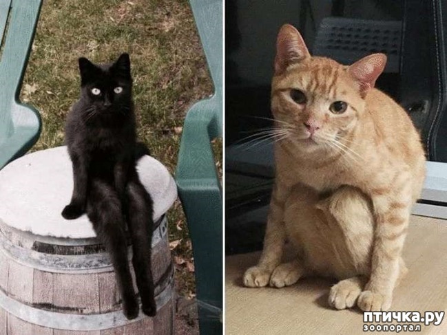 ���� 3: ������� �����, ������� ���������� ������ ��-�������