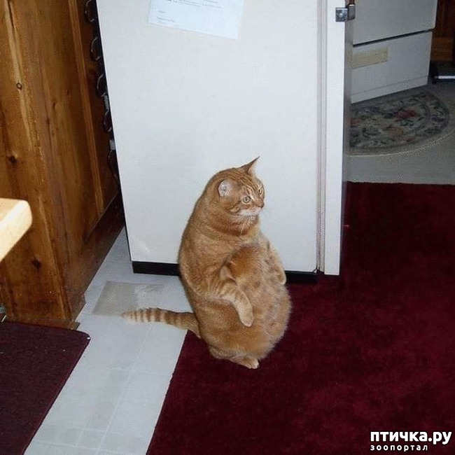 ���� 4: ������� �����, ������� ���������� ������ ��-�������