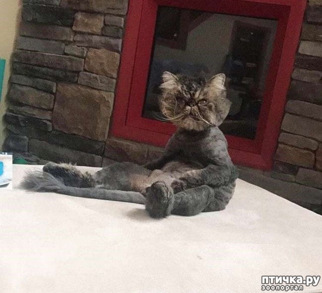 ���� 17: ������� �����, ������� ���������� ������ ��-�������