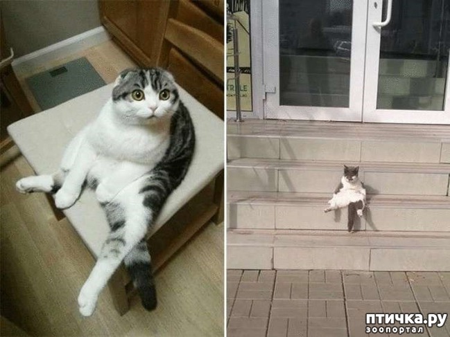 ���� 18: ������� �����, ������� ���������� ������ ��-�������