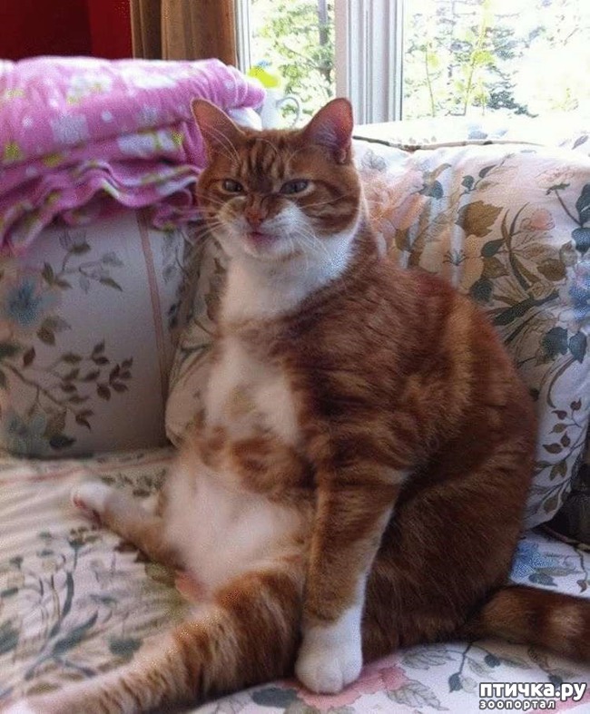 ���� 6: ������� �����, ������� ���������� ������ ��-�������