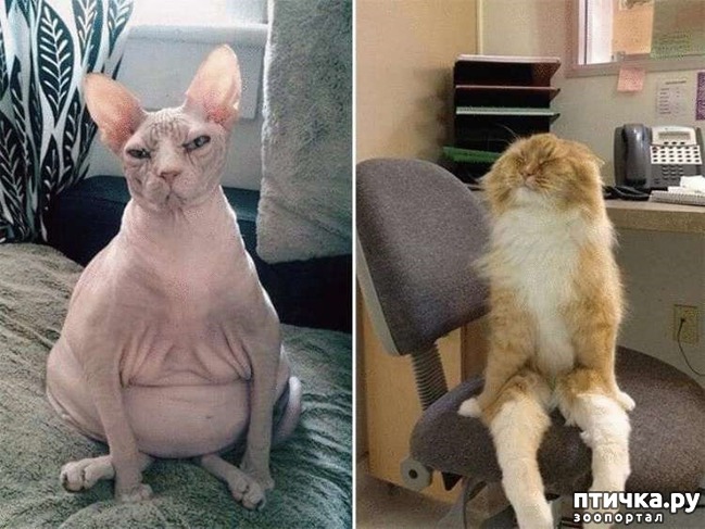 ���� 16: ������� �����, ������� ���������� ������ ��-�������