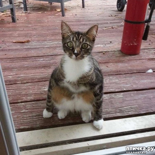 ���� 7: ������� �����, ������� ���������� ������ ��-�������