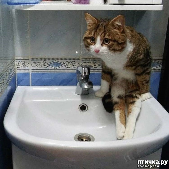 ���� 8: ������� �����, ������� ���������� ������ ��-�������