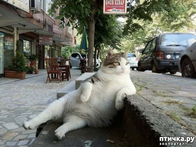 ���� 10: ������� �����, ������� ���������� ������ ��-�������