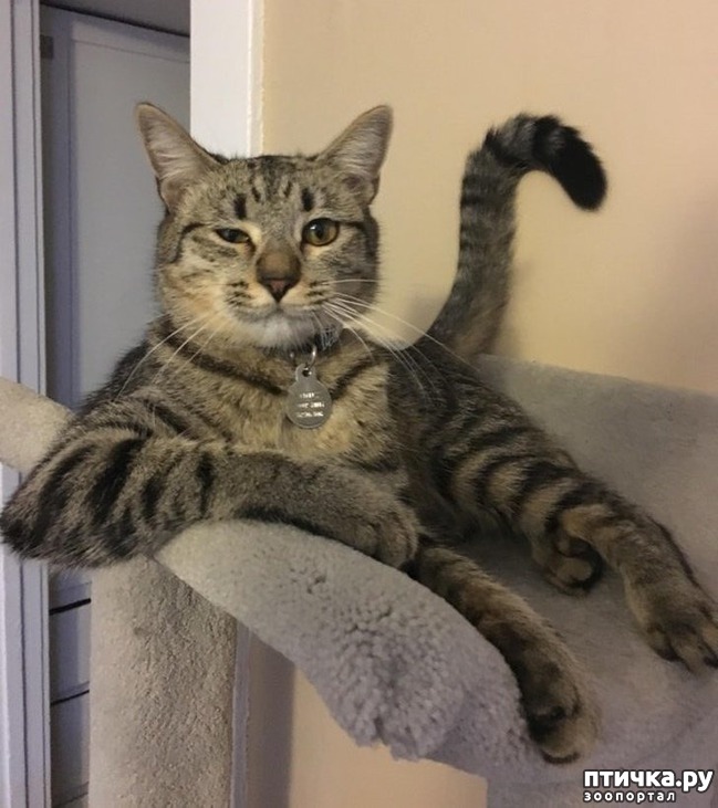 ���� 11: ������� �����, ������� ���������� ������ ��-�������