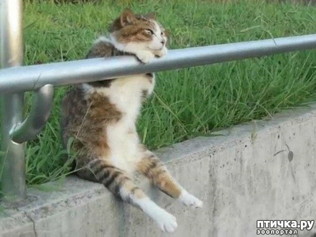 ���� 13: ������� �����, ������� ���������� ������ ��-�������