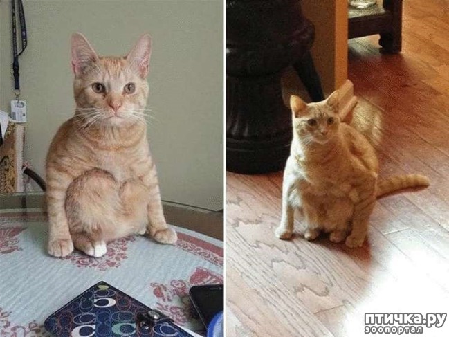 ���� 14: ������� �����, ������� ���������� ������ ��-�������