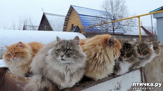 ���� 19: ��������� ���� � ��������� �����