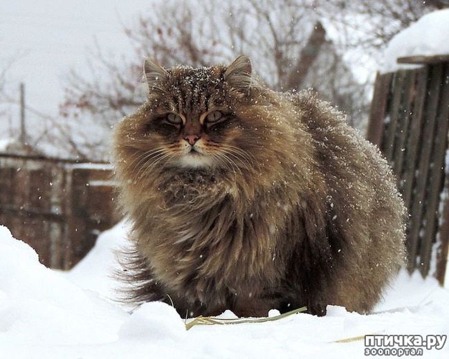 ���� 3: ��������� ���� � ��������� �����